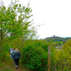 P1190822 Solferino e la spia d  Italia. Sulle Colline moreniche. Morene-detriti lasciati dal ghiacciaio ritirandosi.